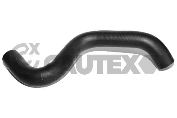 031333 Cautex