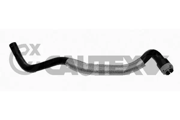 753203 Cautex
