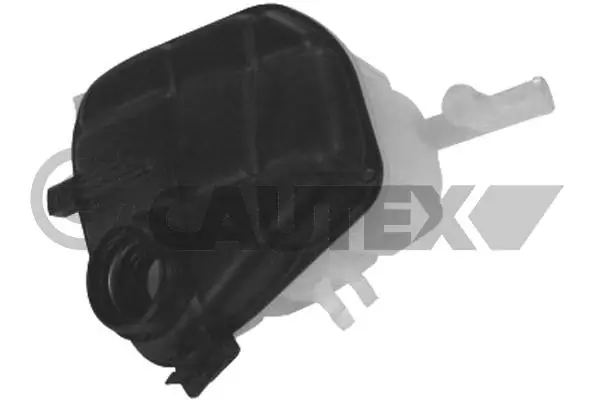 955478 Cautex