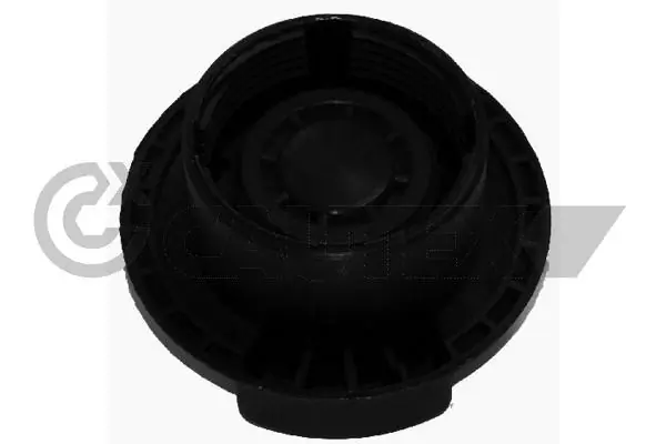 Tapa de radiador Seat Alhambra 7V8, 7V9