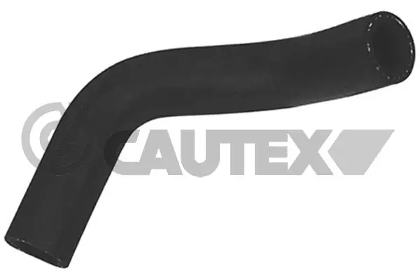 026818 Cautex
