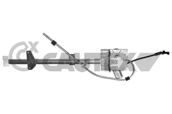 027410 Cautex