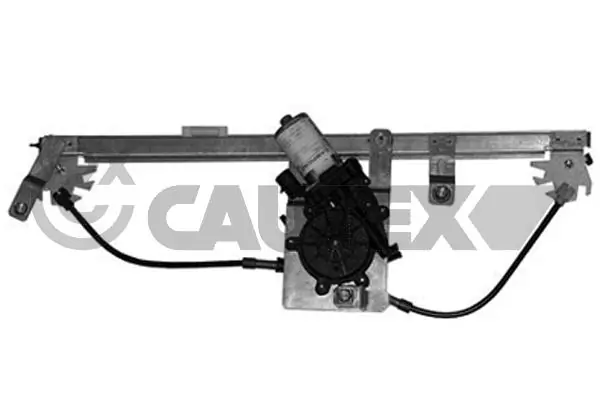 027402 Cautex