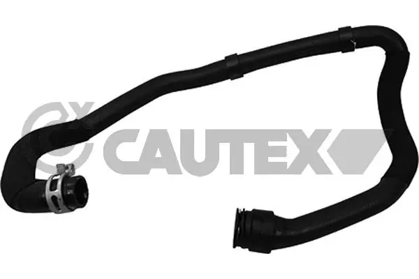753813 Cautex
