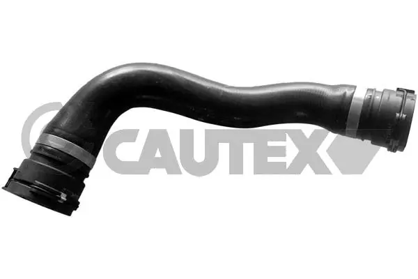 754122 Cautex