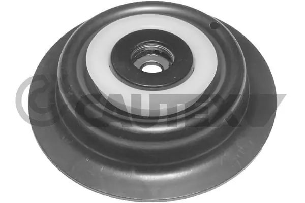 480547 Cautex