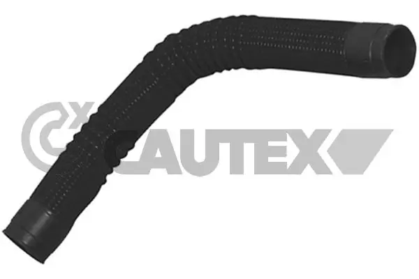486539 Cautex