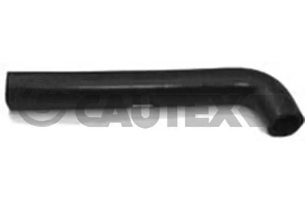 466041 Cautex