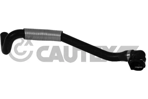 754080 Cautex