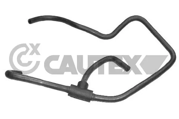 752924 Cautex