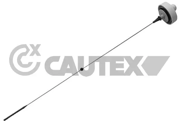 021403 Cautex