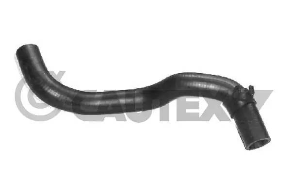 026496 Cautex