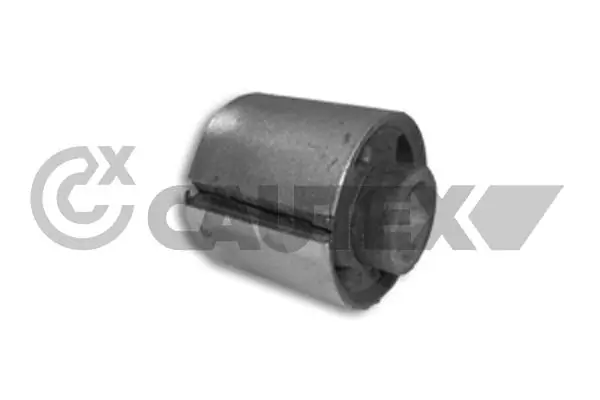 460198 Cautex