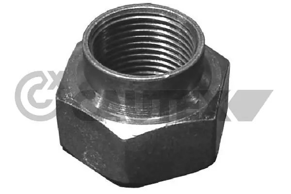 951005 Cautex