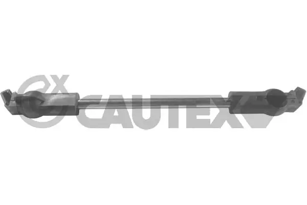 480123 Cautex