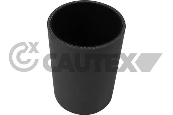 753090 Cautex