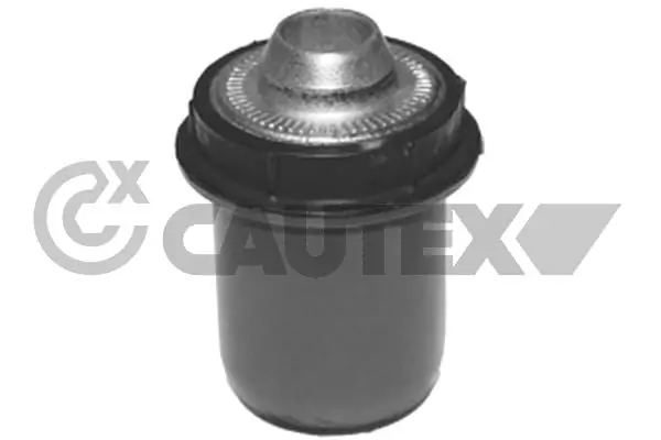 021336 Cautex