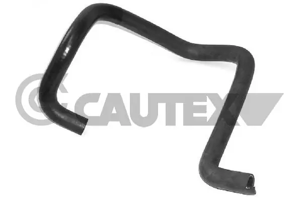 036402 Cautex