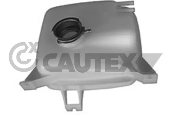 Botella expansion Fiat Ducato I desde 20,98 €