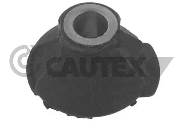 181089 Cautex