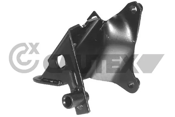 460949 Cautex
