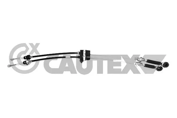 766126 Cautex