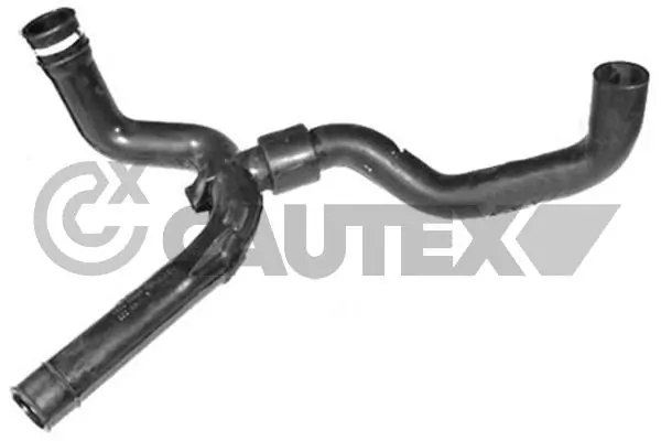 753115 Cautex