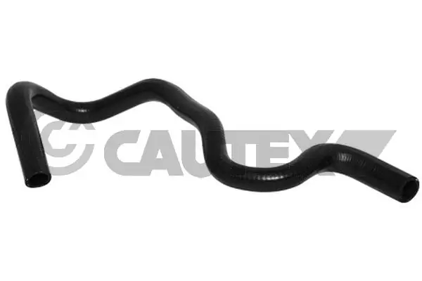754074 Cautex