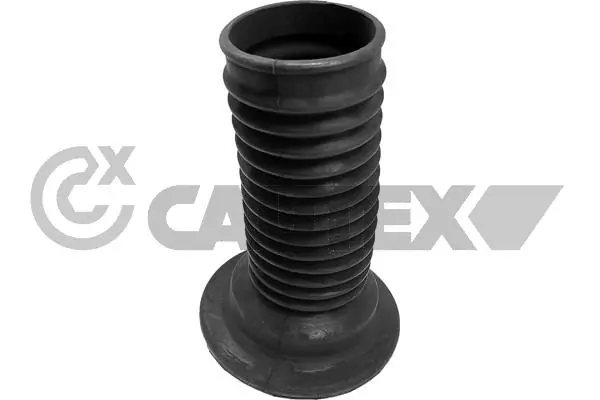 758510 Cautex