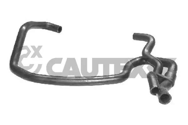 026853 Cautex