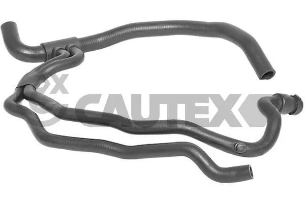 481209 Cautex