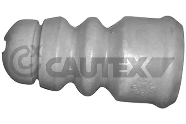 462448 Cautex