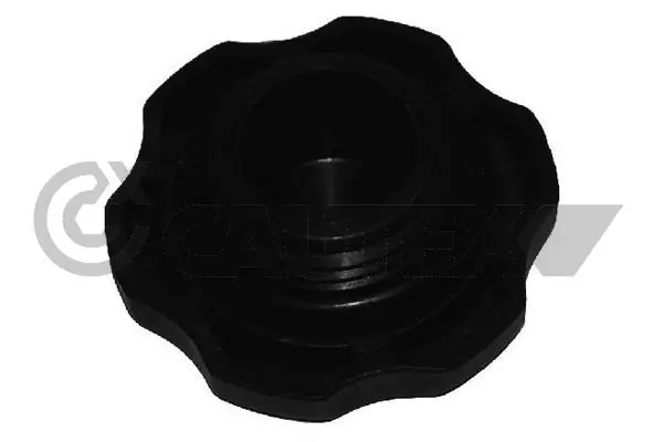 954265 Cautex