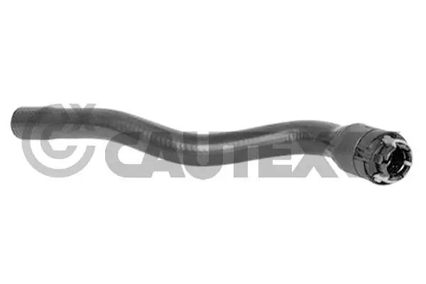 481120 Cautex