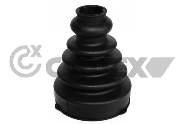 011101 Cautex