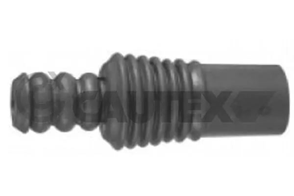 021307 Cautex