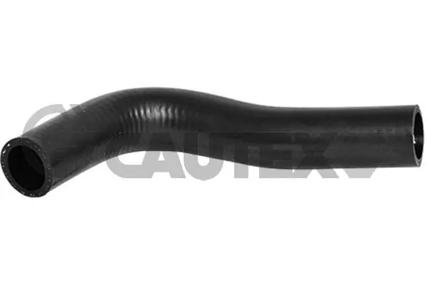 066564 Cautex