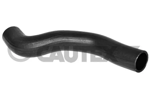 754204 Cautex