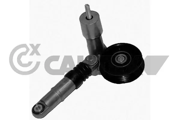 461351 Cautex