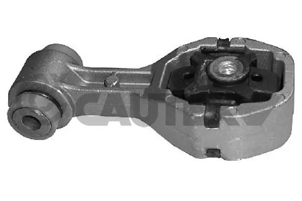 020489 Cautex