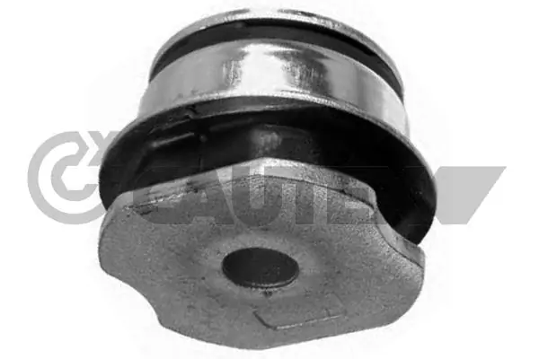 010761 Cautex