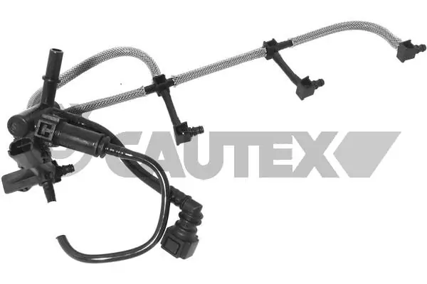 081162 Cautex