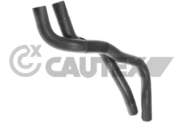 753179 Cautex