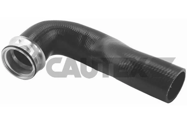 186736 Cautex