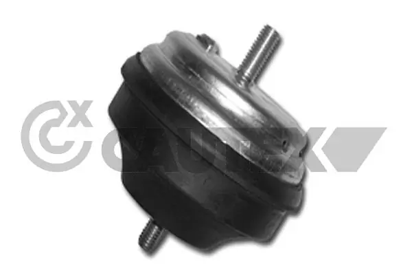 480499 Cautex