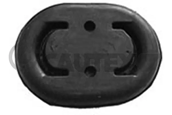 460484 Cautex