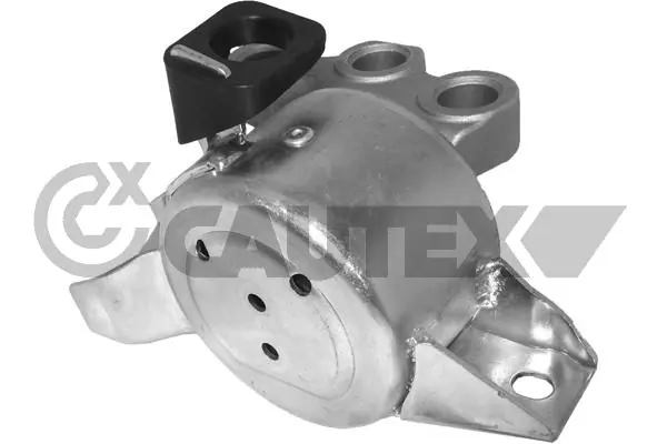 756205 Cautex