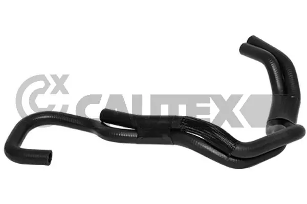 486541 Cautex