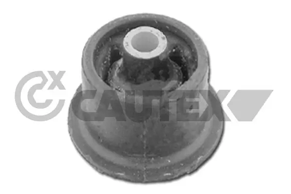 461326 Cautex