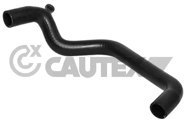 031345 Cautex